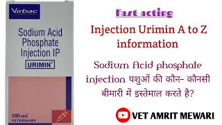 Injection Urimin uses in hindi  Sodium acid phosphate injection  veterinary injection Urimin [upl. by Eaton]