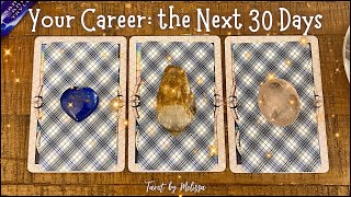 PickaCard Your Career  the Next 30 Days 📈🗄️📅📎TIMELESS Tarot Reading [upl. by Mair962]