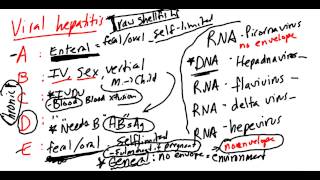 Viral Hepatitis Made Simple [upl. by Ynafit]