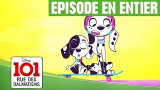 101 rue des Dalmatiens  Méditation de chiot épisode 6 [upl. by Anaitat940]