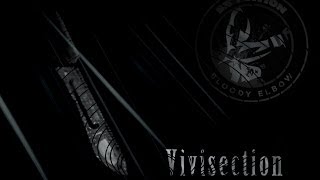 UFC Fight Night Nelson vs Nogueira MMA Vivisection [upl. by Yarled340]