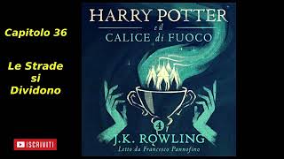 Harry Potter e il Calice di fuoco Audiolibro Italiano letto da Francesco Pannofino Capitolo 36 [upl. by Elle957]