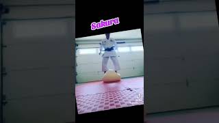 Sakura shitoryukarate [upl. by Haikan]