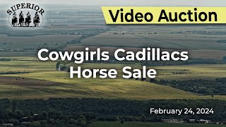 Cowgirls Cadillacs Horse Sale [upl. by Aveline]