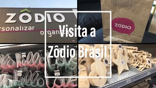 Visita a Zôdio Brasil  mini comprinhas [upl. by Seif155]