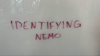 Identifying Nemo Biology Project [upl. by Iosep561]