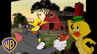 Tom et Jerry en Français 🇫🇷  Coincoin cest Little Quacker  🐣  WB Kids Français​ [upl. by Haukom]