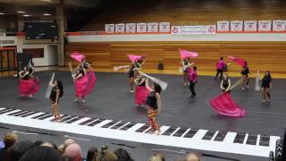 Round Lake High School Varsity Winter Guard MWCGC Championships 2017 [upl. by Nies]