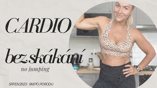 Cardio bez skákání 1 [upl. by Enorahs]