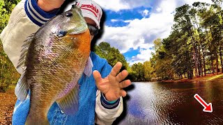 THIS Super Tiny Jig amp Bobber Setup Is A Bluegill Catching Machine [upl. by Deckert171]