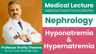 Hyponatremia amp Hypernatremia  Disorders of Water Metabolism  Professor Shafiq Cheema [upl. by Nosnek]