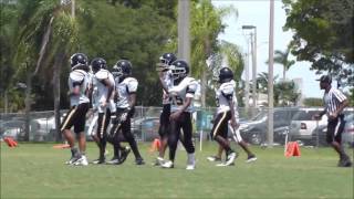 Lake Lytal Dolphins vs Steelers 2016 [upl. by Beare]