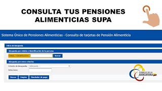 Consultas Pensiones Alimenticias [upl. by Arlin732]