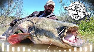 Episode 5 Wels Catfish Trip Recap [upl. by Yntirb457]