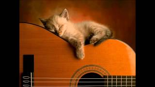 quotStray Cat Bluesquot InstrumentalStones [upl. by Fine]