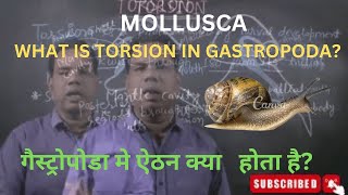 MOLLUSCA  WHAT IS TORSION IN GASTROPODA [upl. by Alvina]