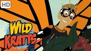 Wild Kratts  Spread Your Little Wings 🦋🦇  Kids Videos [upl. by Arst]