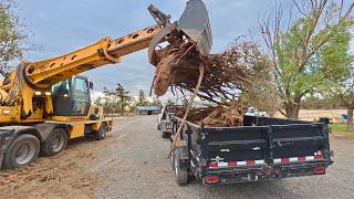 My new excavator DESTROYS tree stump [upl. by Anoy927]