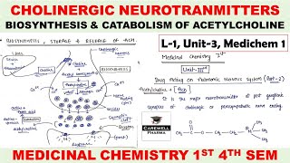 Cholinergic Neurotransmitter  Biosynthesis and Catabolism of Acetylcholine  L1 U3  Medichem 1 [upl. by Clarisa]