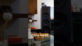 Torre Beta 83 hiendaudio torre tropicaudiowoodwork bass [upl. by Blake]