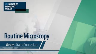 Routine Microscopy – Gram Stain Procedure [upl. by Stodder]