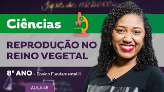 Reprodução no Reino Vegetal – Ciências – 8º ano – Ensino Fundamental [upl. by Airtened408]