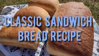 Homemade Sandwich Bread  White Flour Yeast Bread [upl. by Eimmak]