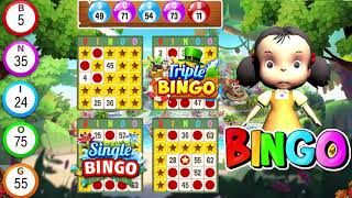 Bingo Play  Bingo Offline Fun [upl. by Nagap]