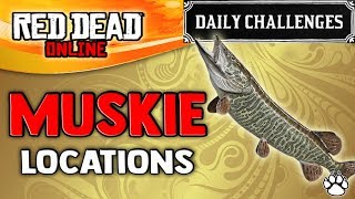 Red Dead Online  Muskie Location  RDR2 Daily Challenge Muskie Caught [upl. by Lareine]