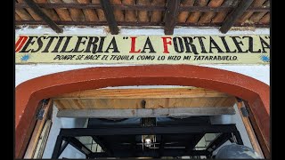 Tequila Distillery Tour  Fortaleza Abuelo [upl. by Korfonta]