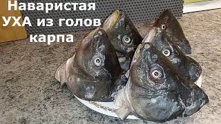 ТАКОЙ ВКУСНОЙ УХИ ВЫ ЕЩЕ 100 НЕ ПРОБОВАЛИ 🐟🐟🐟 [upl. by Florance811]