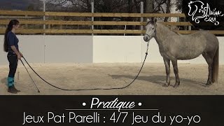 • PRATIQUE • Jeux Pat Parelli  47 Jeu du yoyo [upl. by Ihcalam450]