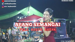 APANG SEMANGAI  PELA GADIS DAYAK  Live Lengkenat [upl. by Nosro]