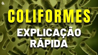 O que são os COLIFORMES  Saiba tudo sobre esses indicadores de contaminação da água [upl. by Notsgnal]