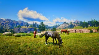 Wildlife in Cinematic Mode in the American West  ambiance Red Dead Redemption 2 [upl. by Aihsilef]