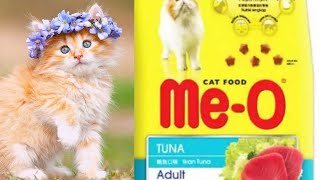 MeO Cat food 2019 hindiUrdu [upl. by Lovato]