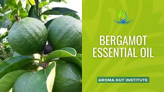 Bergamot Essential Oil  Bergamot Essential Oil Benefits [upl. by Maryrose]