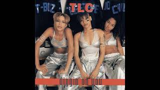 TLC  Diggin’ On You Album Instrumental [upl. by Handal]