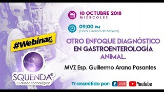 Otro Enfoque Diagnóstico En Gastroenterología Animal  MVZ Esp Guillermo Arana Pasantes [upl. by Celinka]