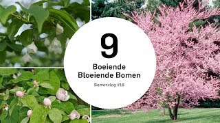 Bloeiende Bomen  Bomenvlog 16 [upl. by Myrilla]