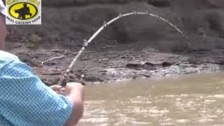 How to catch channel catfish in a muddy creek with catfish bait Team Catfish Video 1 [upl. by Yensehc]