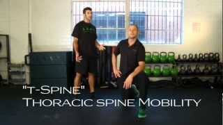 Shoulder Mobility amp Thoracic Spine Mobility Exercises [upl. by Painter929]