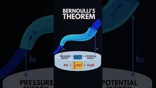 Bernoulli theorem explanationshortsphysics shorts [upl. by Jarrell]