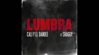 Cali y Dandee  Lumbra ft Shaggy Lyricks [upl. by Kenzi87]