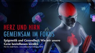 Epigenetik und Gesundheit Wie wir unsere Gene beeinflussen können  Prof Dr André Fischer [upl. by Ferren711]