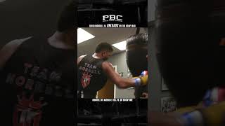 David Morrell Jr ULOADS on the Heavy Bag [upl. by Eneres184]