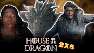 Seasmoke Is For the Culture  House of the Dragon 2x6 Reaction [upl. by Nawad77]