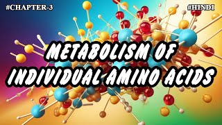 Chapter  3  Metabolism Of Individual Amino Acids Part3  Hindi [upl. by Leonhard]