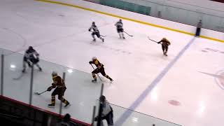 Torrents de UQO vs Concordia Hockey Club 20241116 RSEQ Universitaire  FULL REPLAY [upl. by Joby]