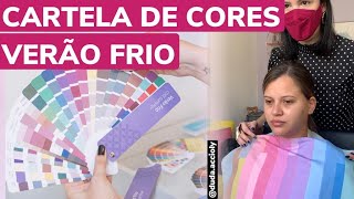 COLORAÇÃO PESSOAL CARTELA DE CORES VERÃO FRIO  por Duda Accioly [upl. by Kerrin842]